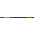 Easton X10 Parallel Pro Arrows 380 AAE Hybrid 26 vanes 6 pk.