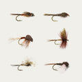 March Brown BugCycle