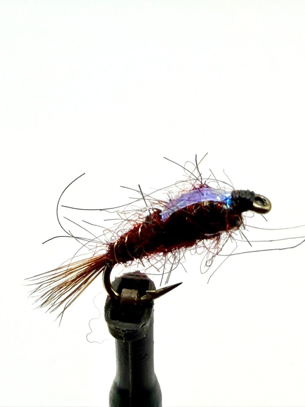Flashback Nymph