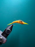 Golden Stone Nymph