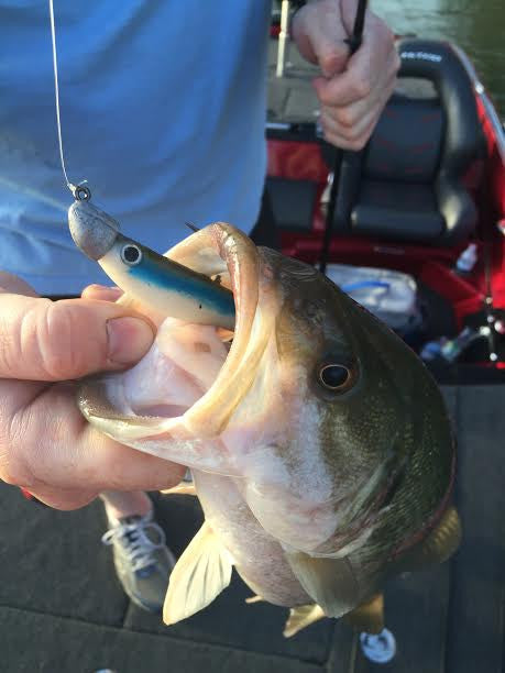 True Lock Swimbait Heads