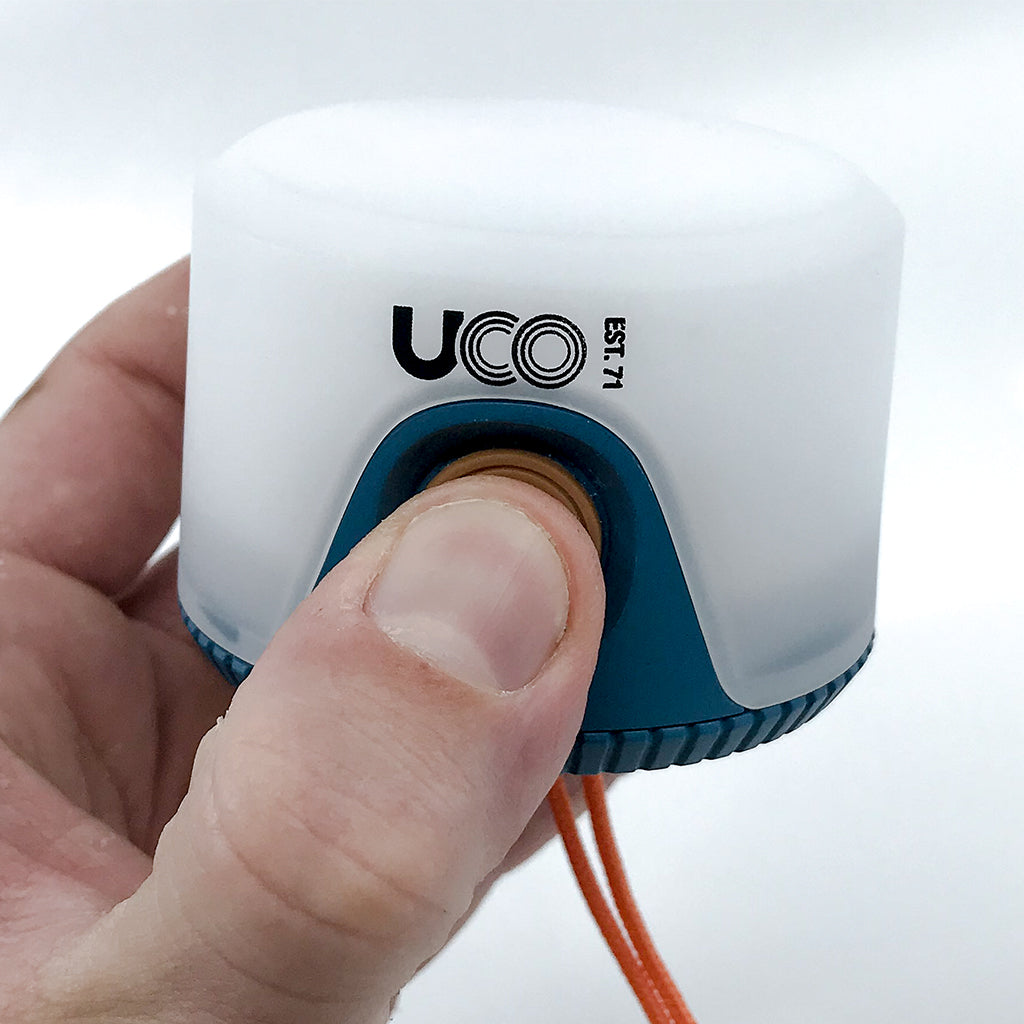 Sprout LED Lantern