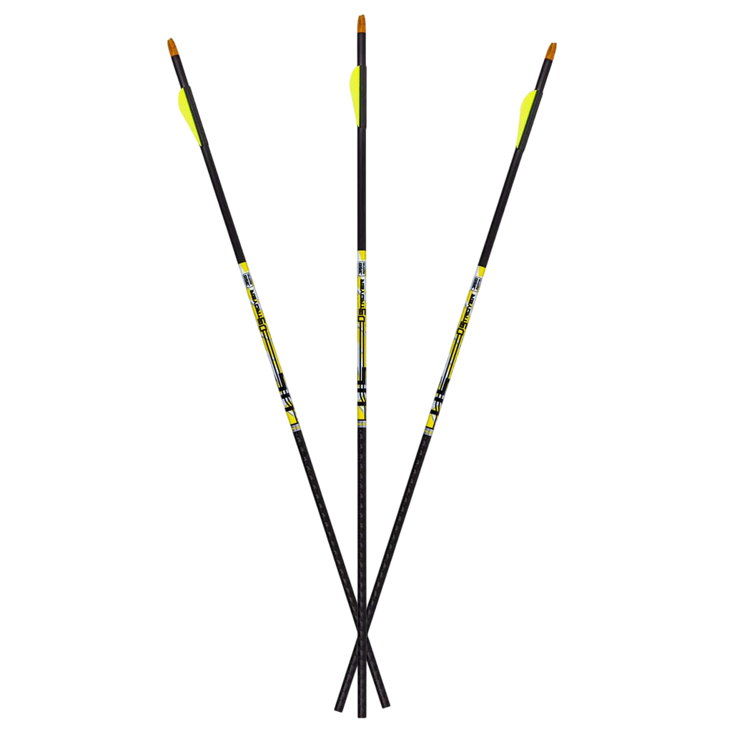 Carbon Express D-Stroyer Fletched Carbon Hunting Arrows (6-Pack)