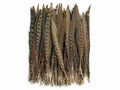 Pheasant Tail