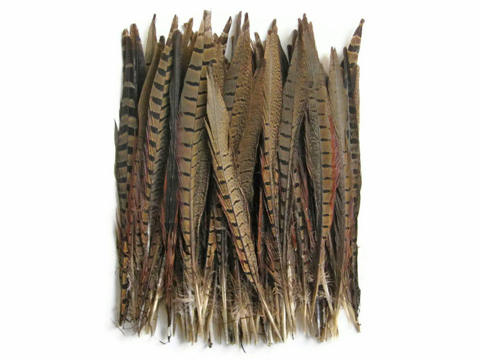 Pheasant Tail