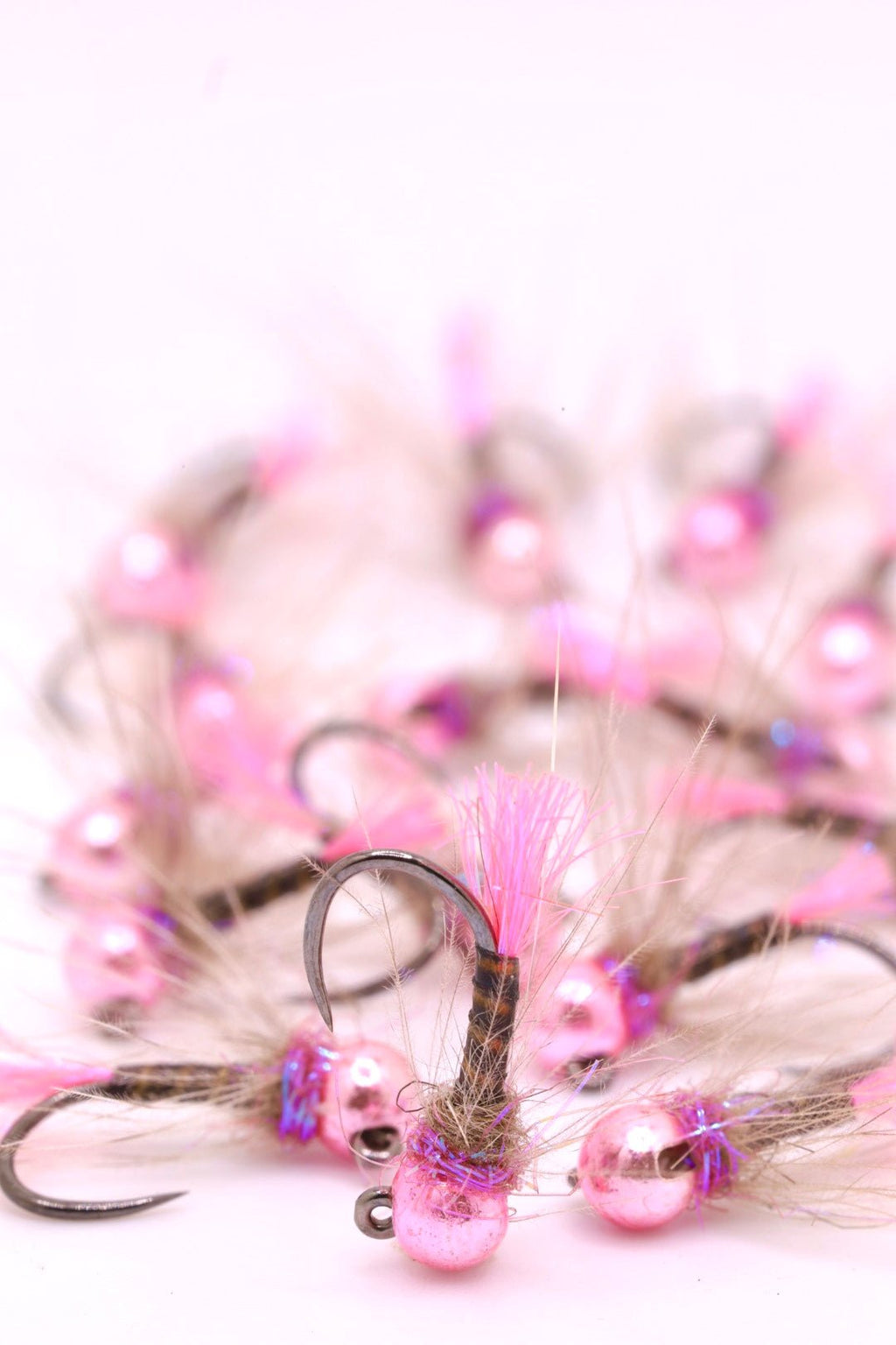 Pink Peacock Quill CDC