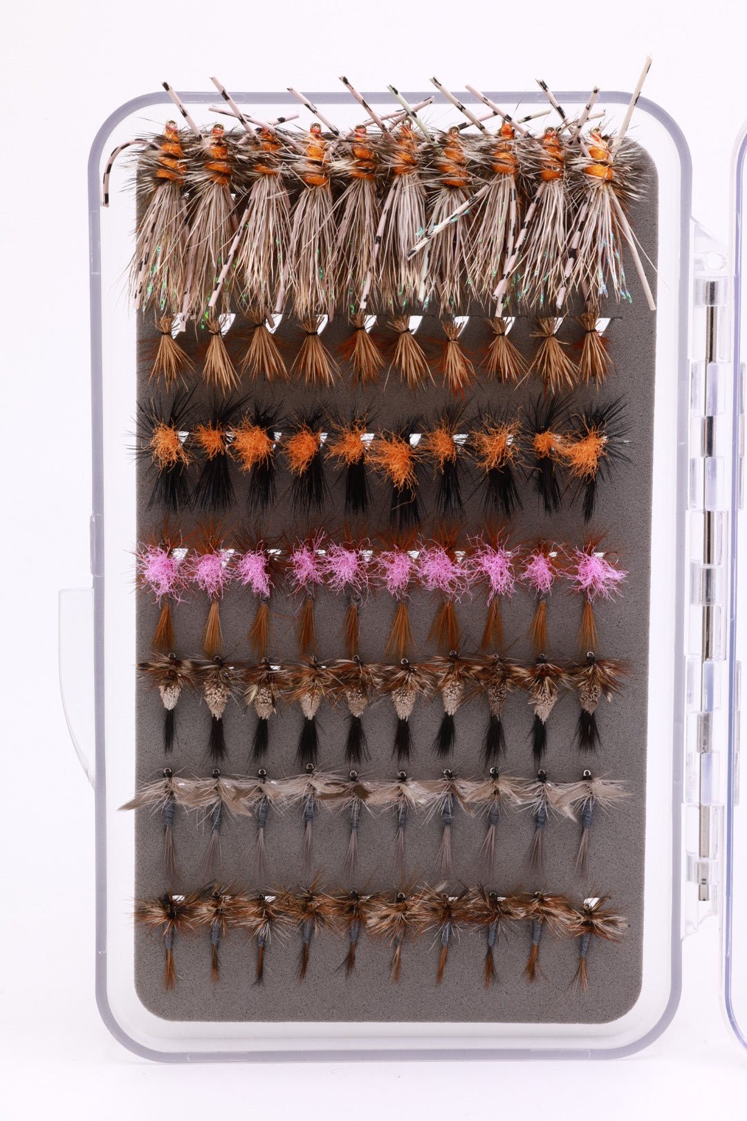 Premium Dry Box