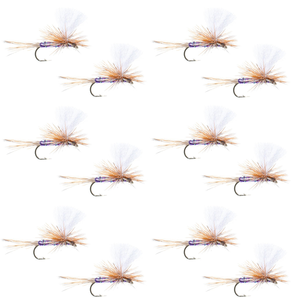 Parachute Super Flash Purple Haze Dry Fly - 12 Flies Size 16