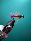 Purple Tail CDC