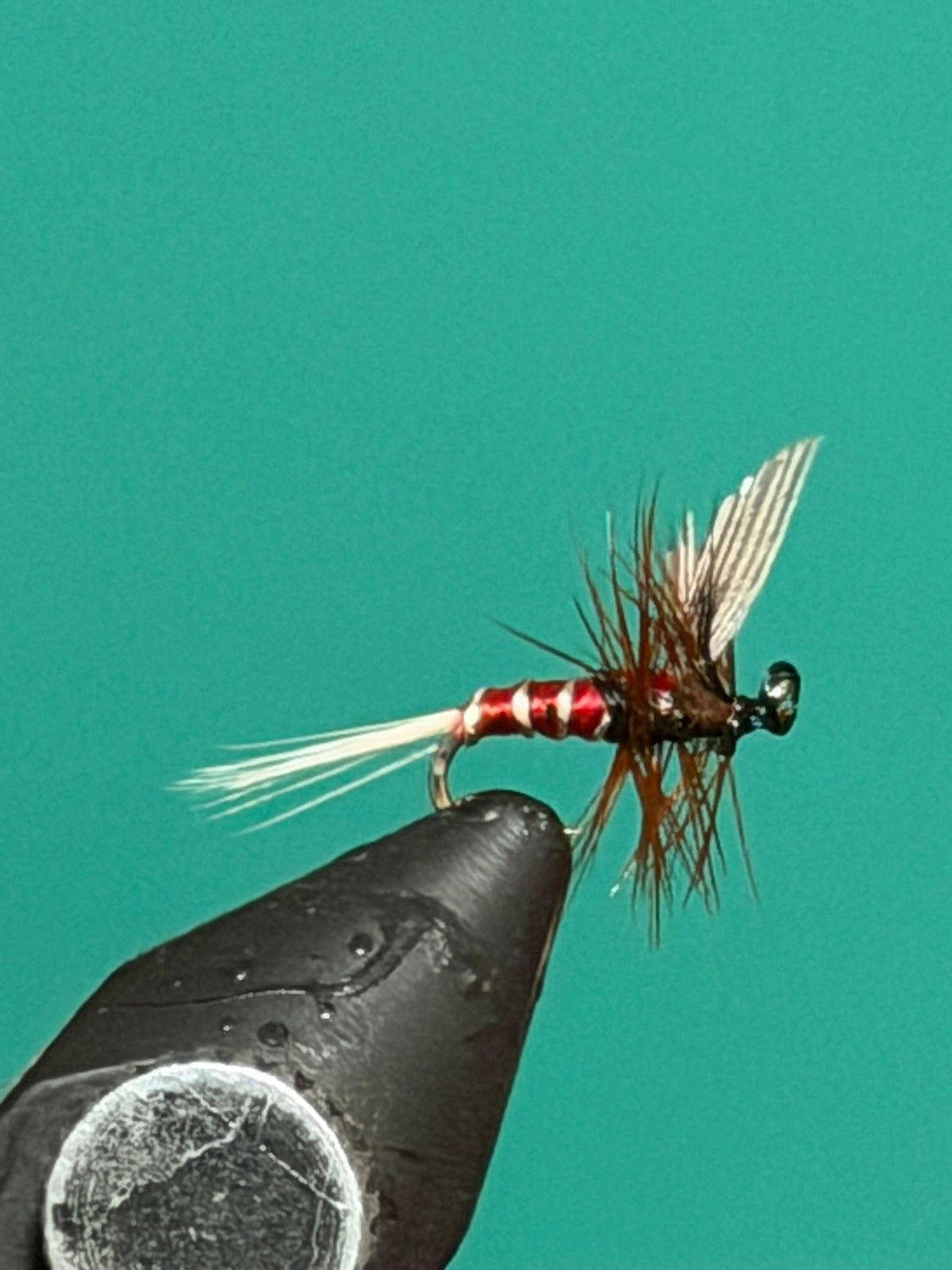 Red Spinner