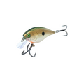 Tennessee Shad