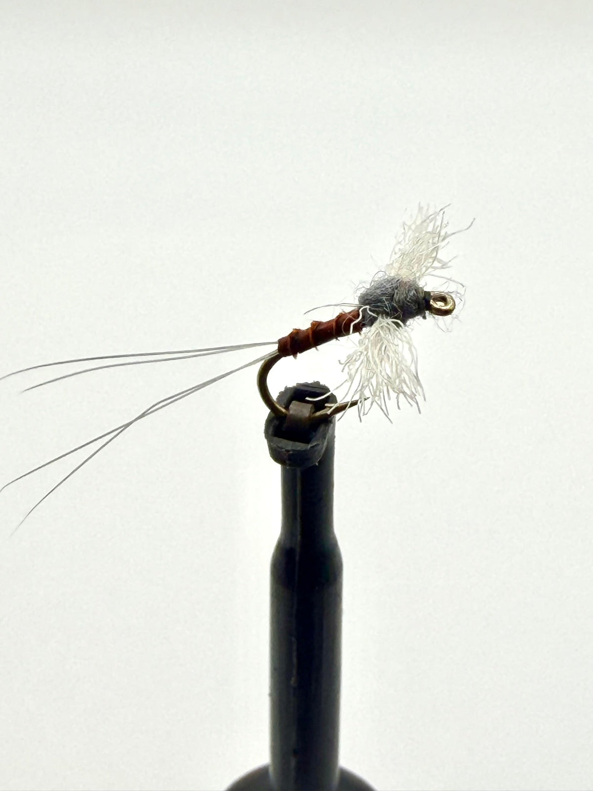 Rusty Spinner