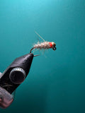 Sexy Walts Worm