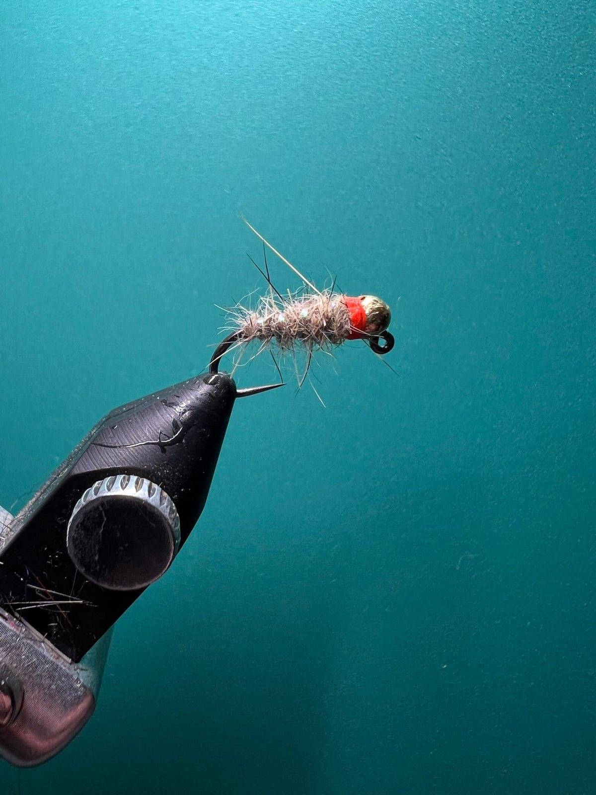 Sexy Walts Worm