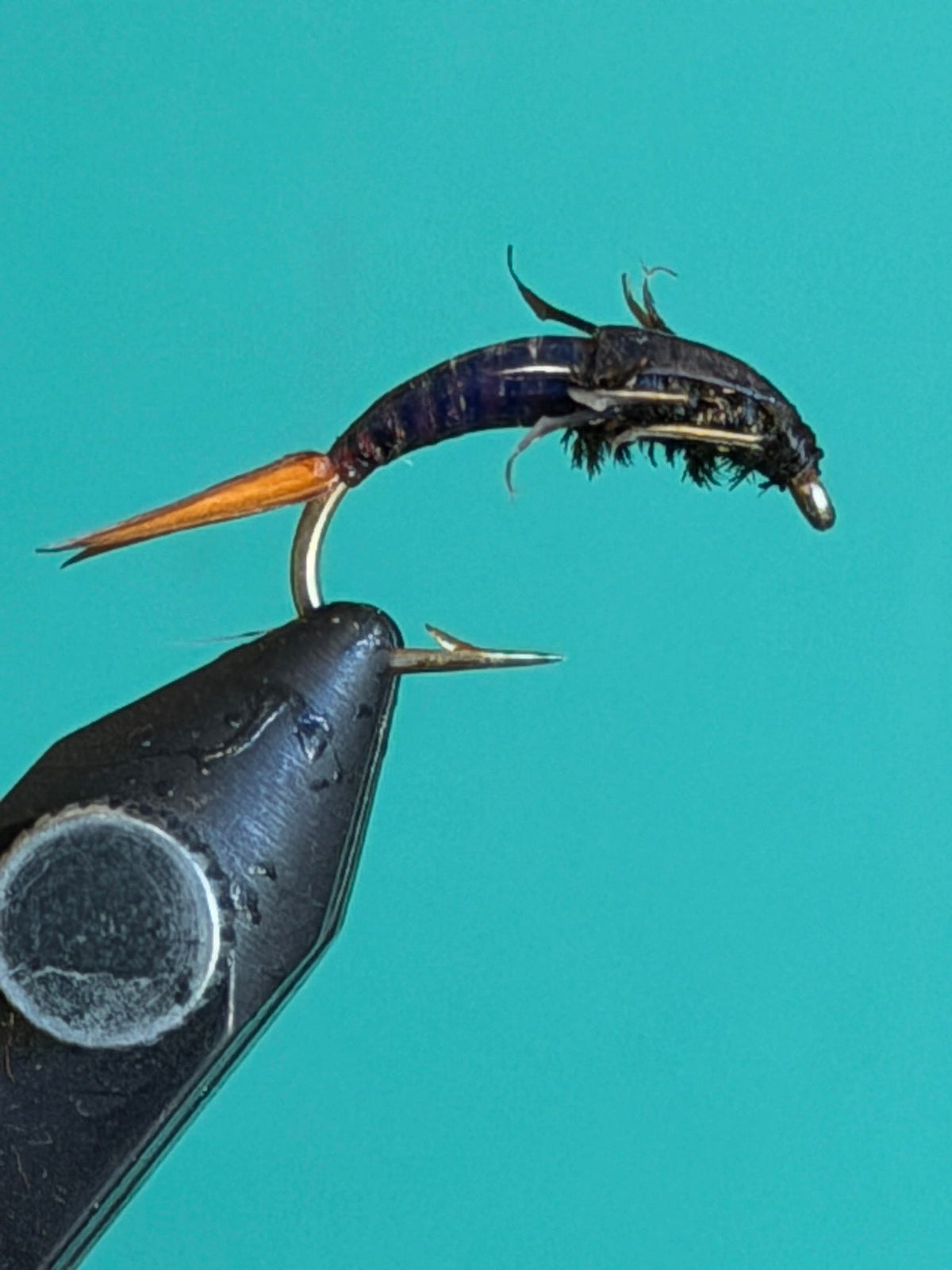 Stonefly Nymph