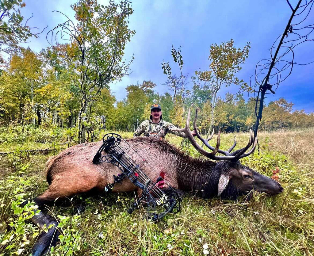 TOTA | 150 grain broadhead | 1-inch solid | fixed blade
