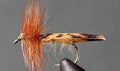 King River Caddis