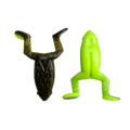 Best Toad Ever