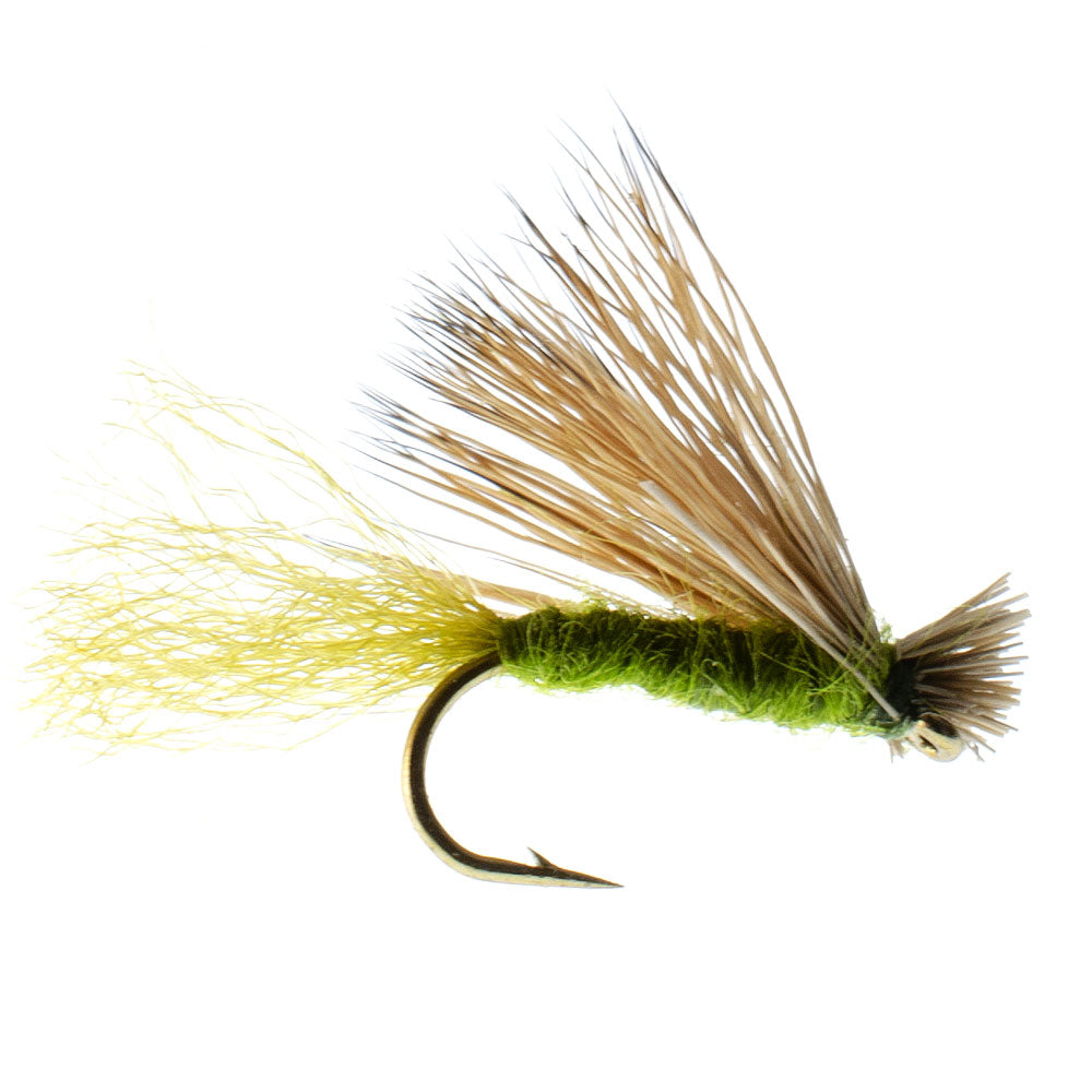 Barbless Olive X Caddis Emerging Caddis Adult Fly - 12 Flies Size 18