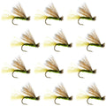 Olive X Caddis Emerging Caddis Adult Trout Dry Fly - 1 Dozen Flies Hook Size 18