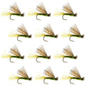 Olive X Caddis Emerging Caddis Adult Trout Dry Fly - 1 Dozen Flies Hook Size 16