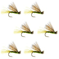Barbless Olive X Caddis Emerging Caddis Adult Fly - 6 Flies Size 18